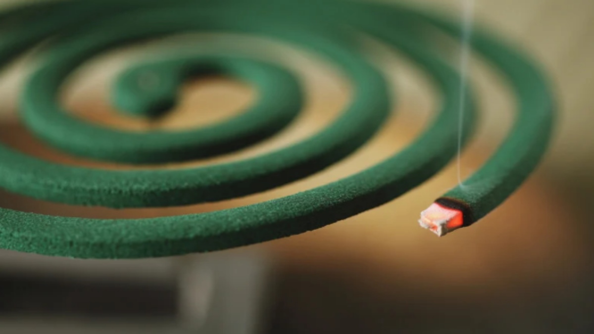 Are All Mosquito Repellents Equally Safe? Internal Medicine Expert Dr Chirag Tandon Explains What You Need to Know