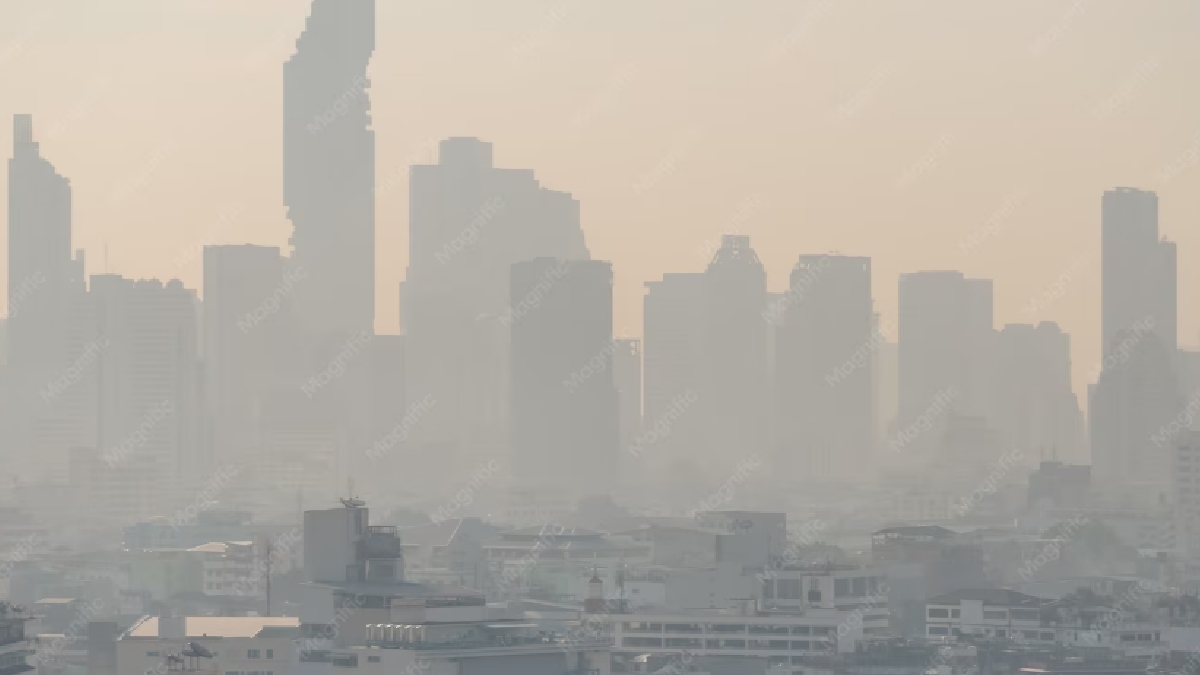 Air Pollution During Pregnancy May Affect Birth Outcomes Differently Across Trimesters, Study Finds