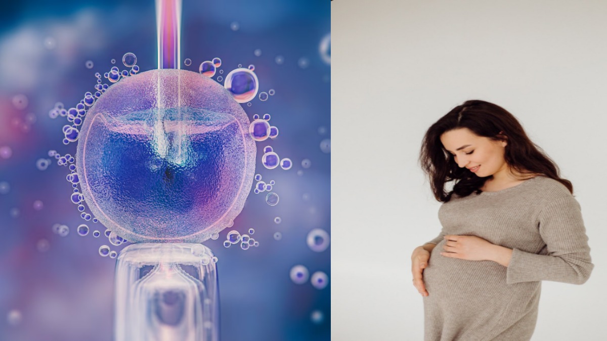 IVF Pregnancy: What to Expect From Fertility Treatment to a Healthy Pregnancy