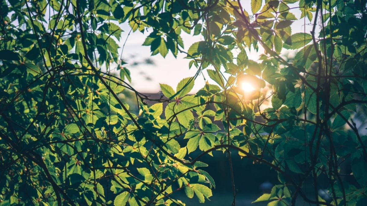 6 Morning Habits That Can Help Boost Energy And Support Better