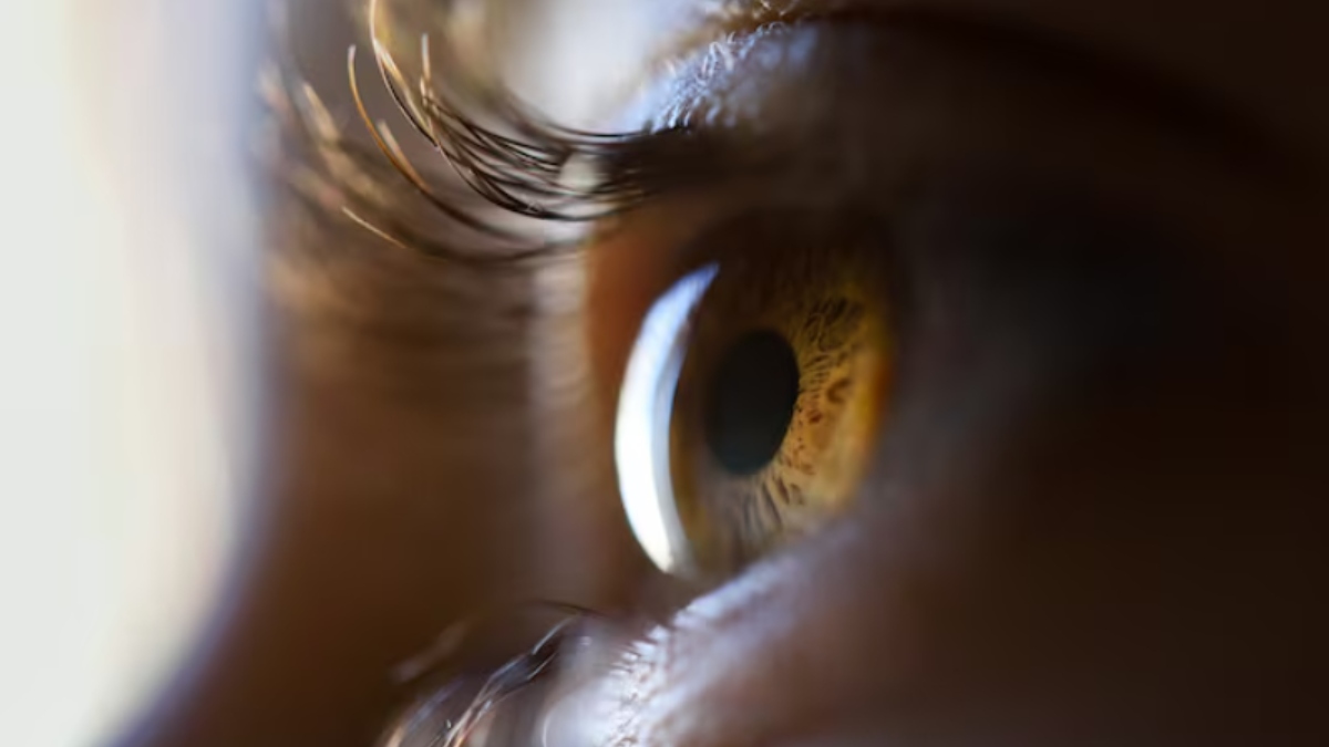 Seeing Blurry? Simple Food and Lifestyle Habits for Healthier Eyes