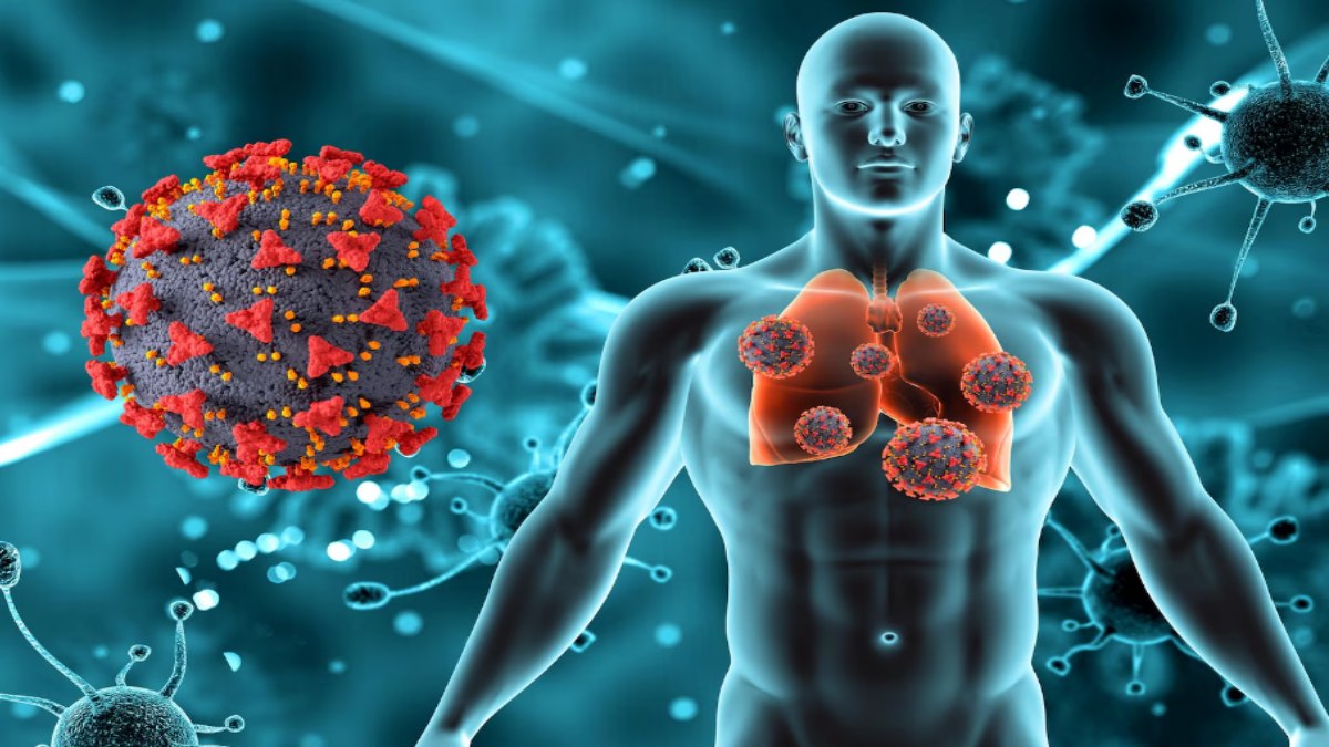 Immunity: The Body's Natural Defense System for a Healthy Life