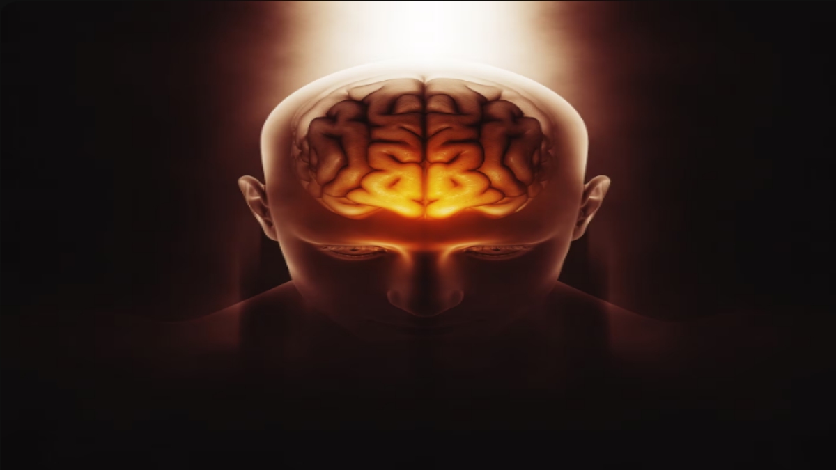 Protect Your Brain