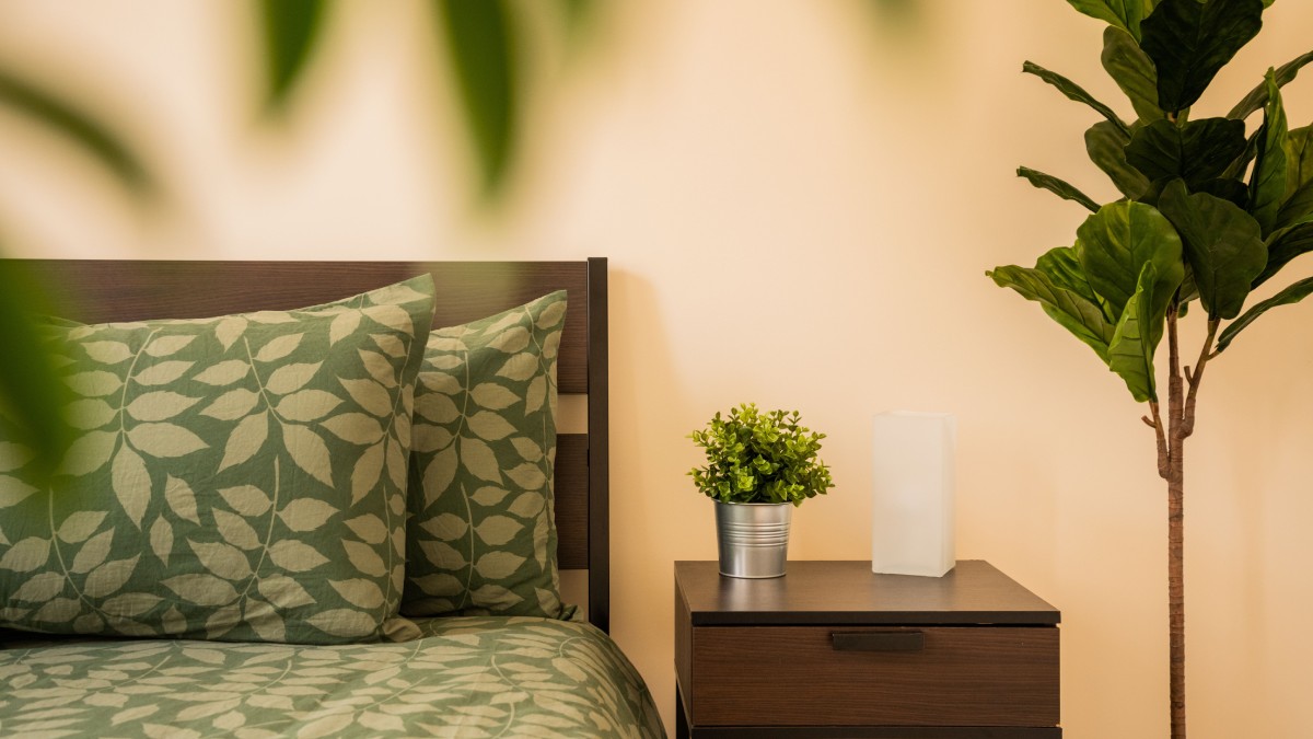 10 Bedroom Plants Believed To Bring Positivity And Calm