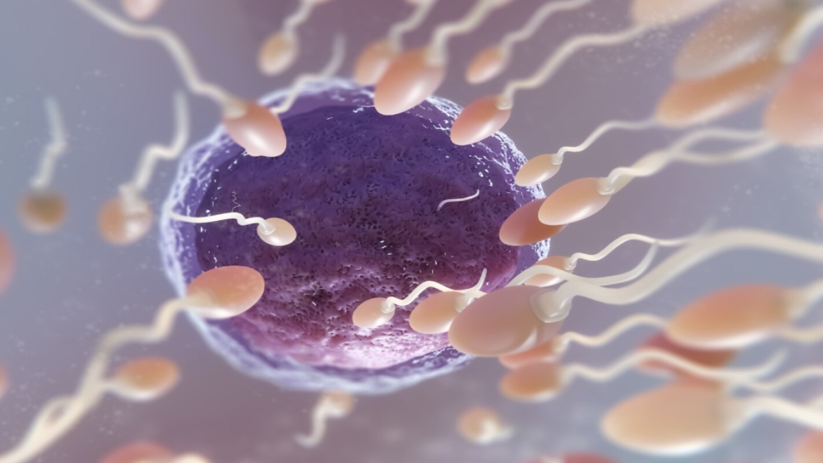 IVF Cost in India and Success Rates: Everything You Need to Know Before Starting Fertility Treatment