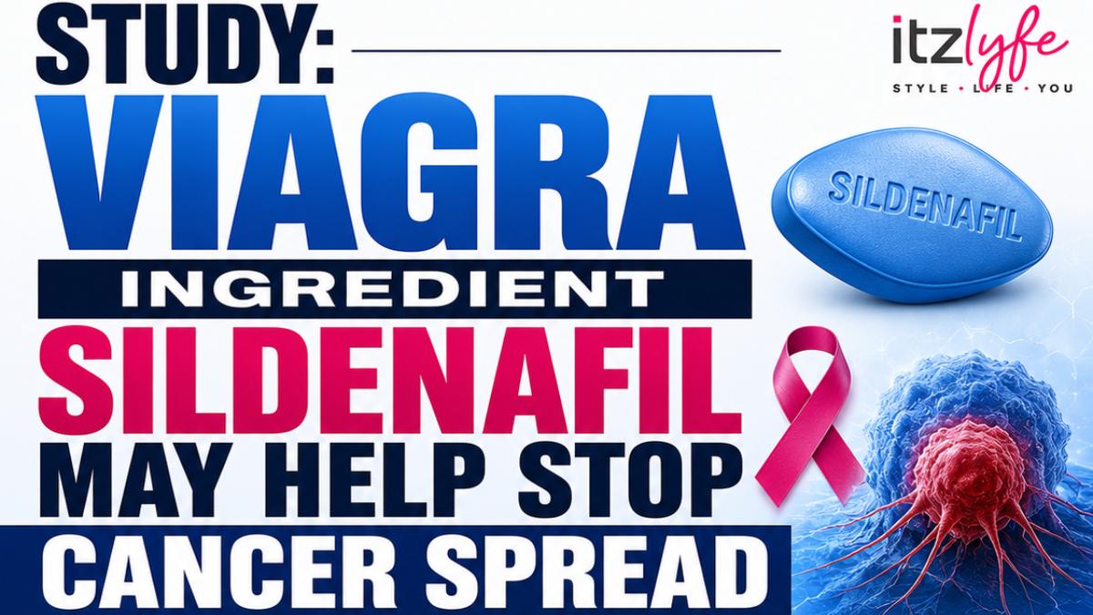 Study Suggests Viagra Ingredient Sildenafil May Help Slow Cancer Spread