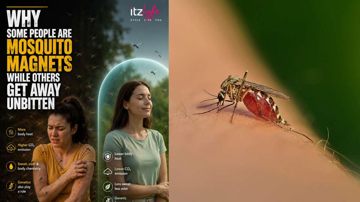 Why Are Some People Mosquito Magnets? Here's What Science Says