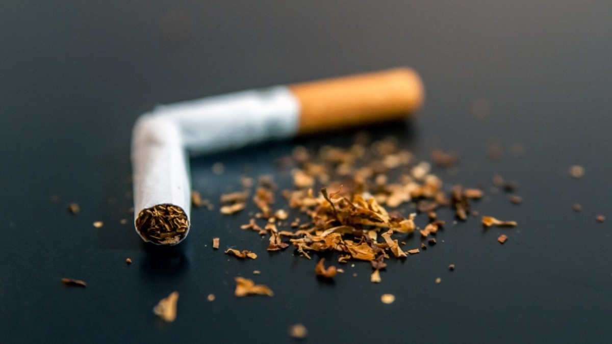 Chewing Tobacco And Health: Study Reveals Global Death Toll And Cancer Risks
