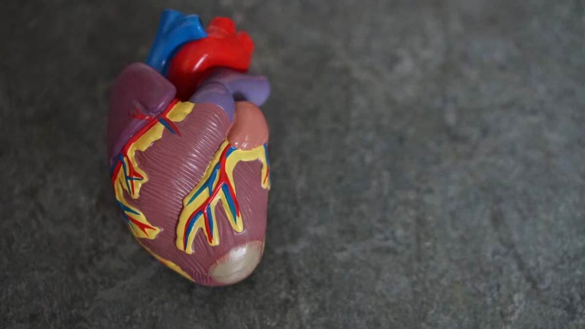 New Heart Treatment Uses Drug-Coated Balloons Instead of Permanent Stents