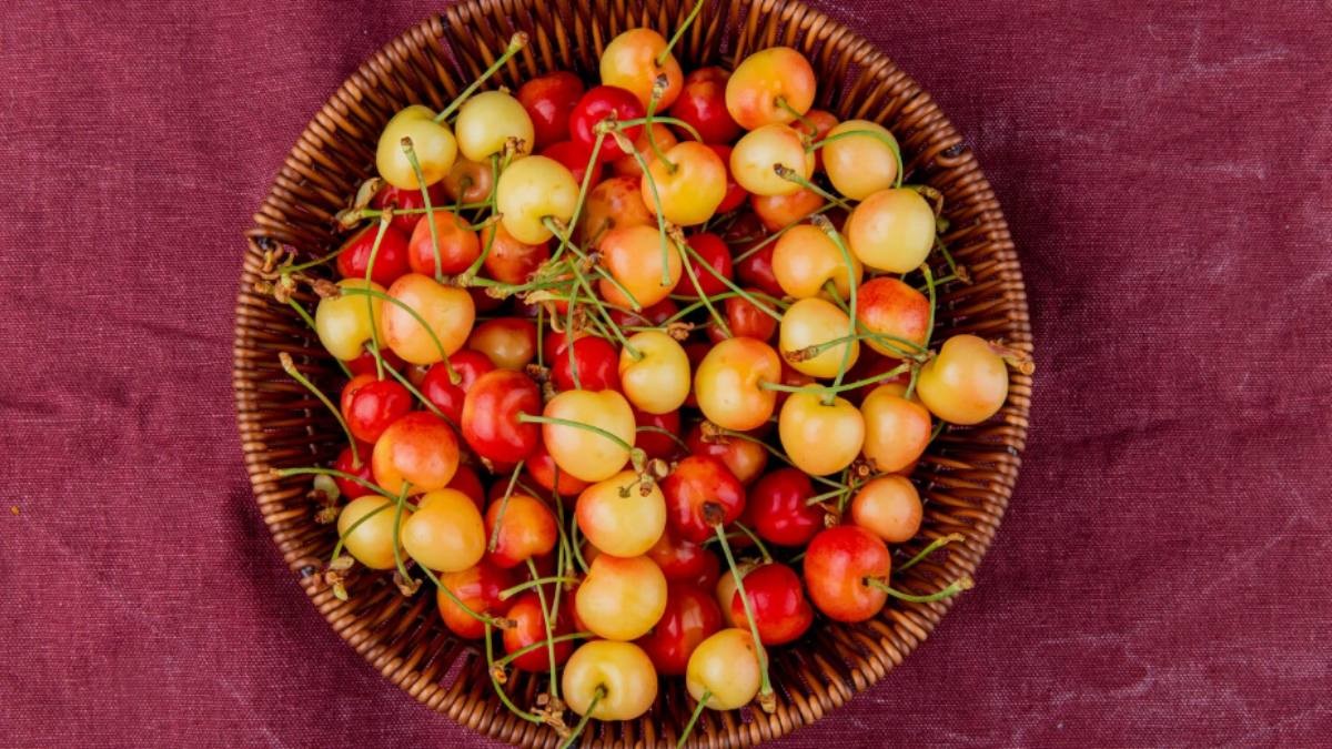 Kumudini Fruit Benefits: Traditional Uses, Nutrition And What We Know