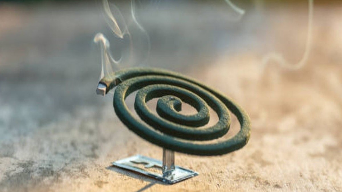 Mosquito Coil Smoke May Be More Harmful Than You Think: Health Risks of Burning Coils Indoors