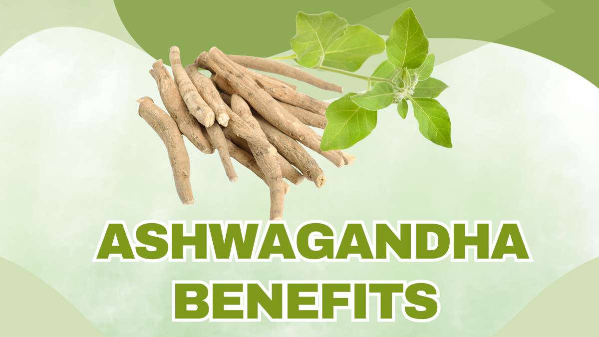 Ashwagandha Benefits: 5 Science-Backed Reasons to Add This Ayurvedic Herb to Your Routine