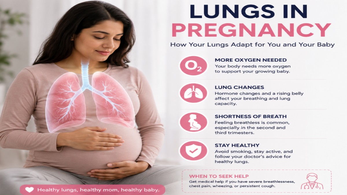 The Lungs in Pregnancy: How Pregnancy Changes Breathing and Respiratory Health