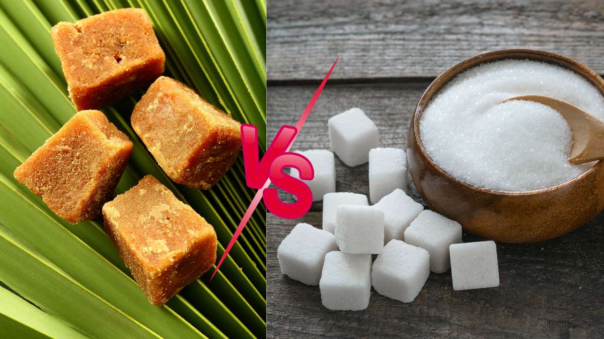 Jaggery vs Sugar: Which Is Better for Daily Use? Benefits, Differences & Health Facts