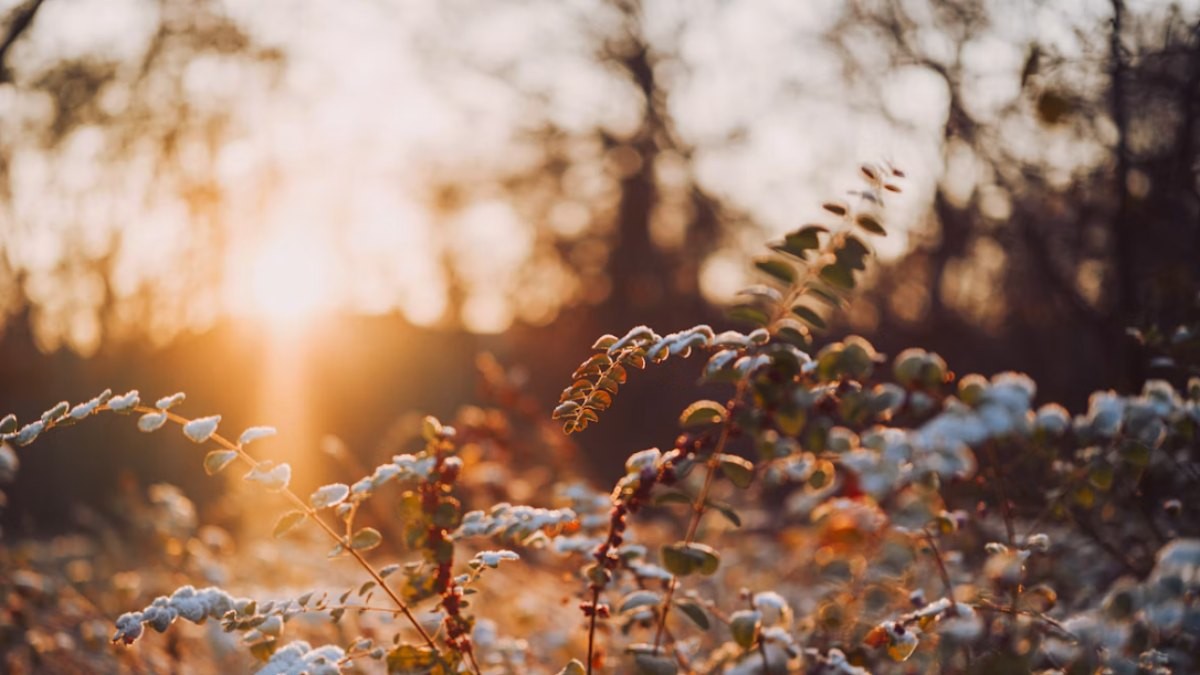 Winter Mornings May Increase Stroke Risk: Doctor Shares Warning Signs and Safety Tips