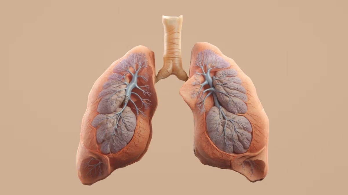 World Lung Day 2026: 7 Hidden Indoor Air Pollution Sources You Should Know