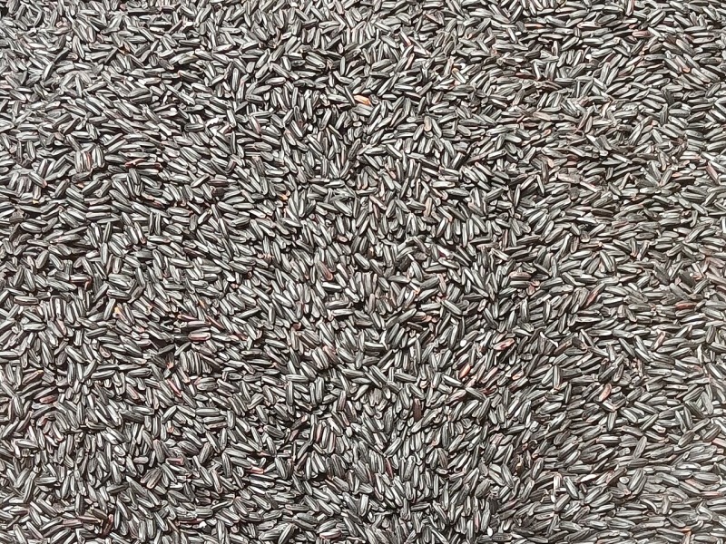 Chinese Black Rice