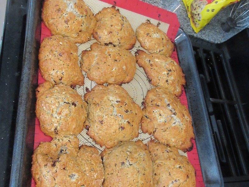 Chocolate Chip Cookies