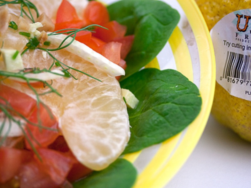 Citrus Salad with Fennel Vinaigrette