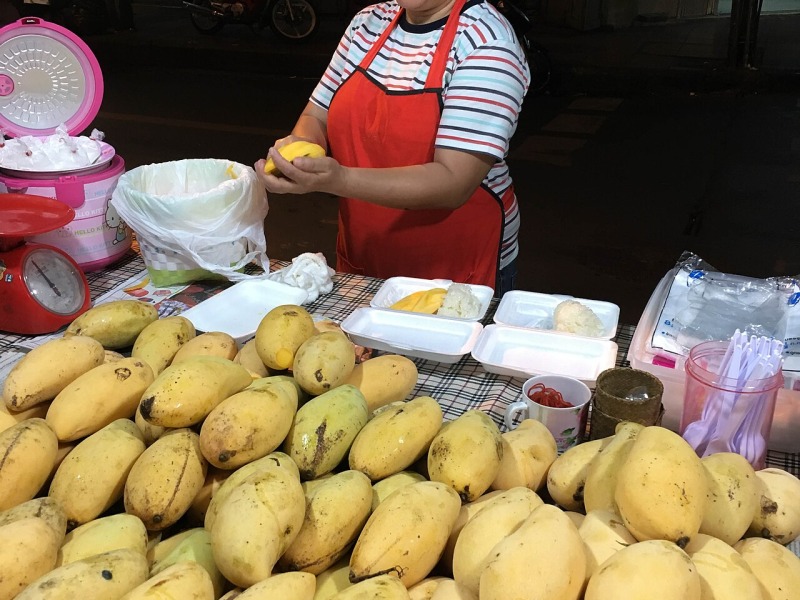Coconut Milk Sticky Rice with Mangoes