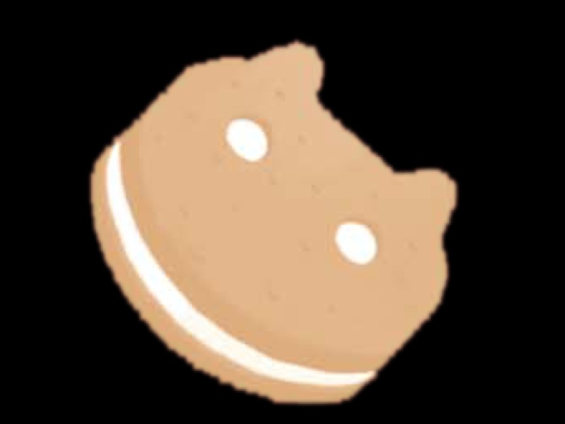 Custom-Made Ice Cream Sandwich