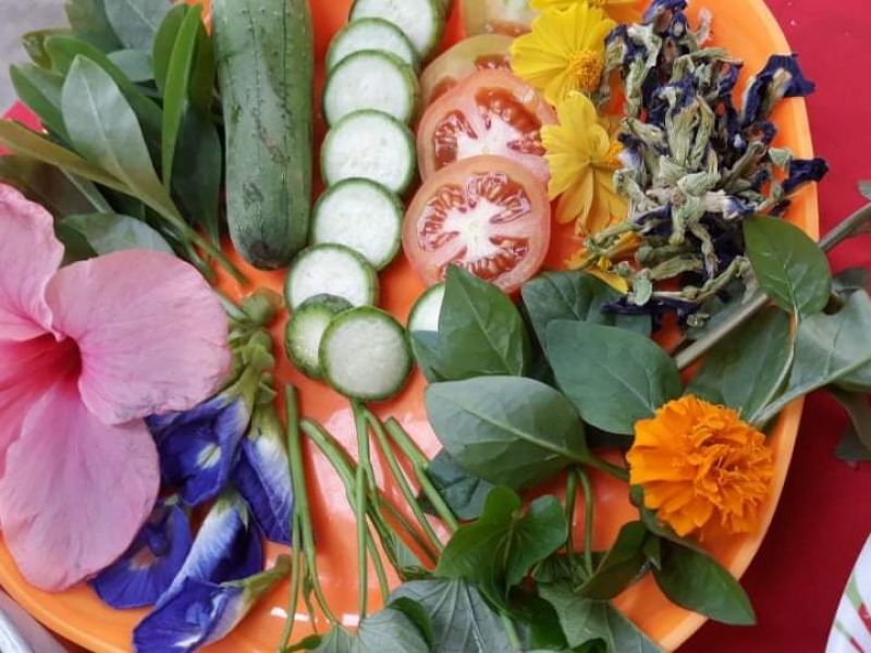 Green Vegetable Salad