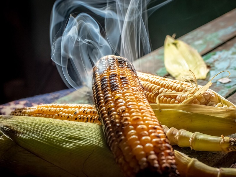 Grilled Corn on the Cob