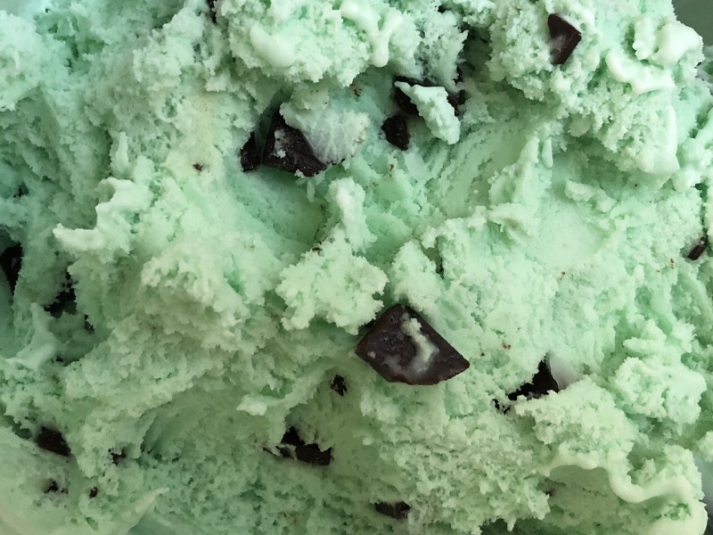 Mint Chip Ice Cream