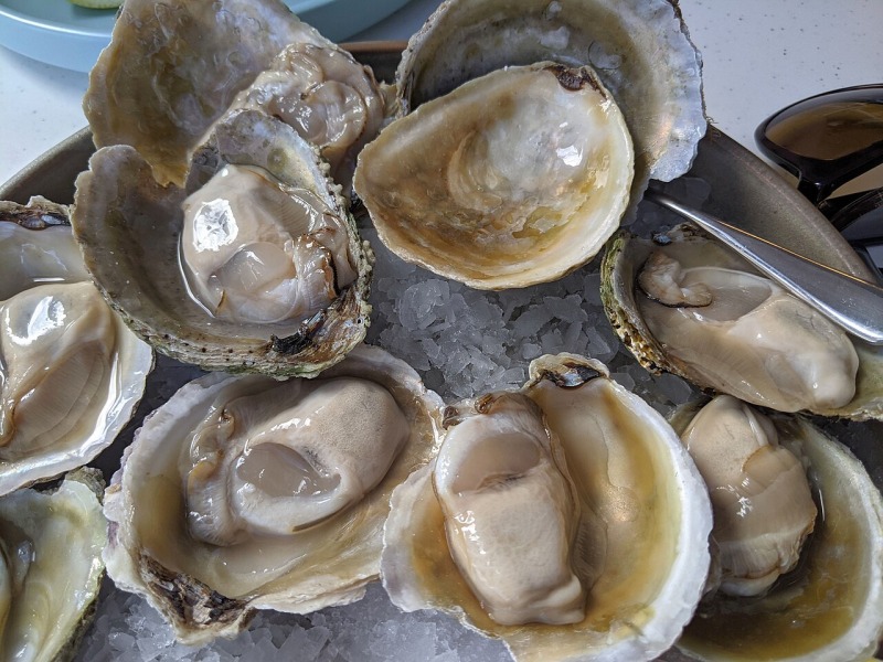 Oyster Ices