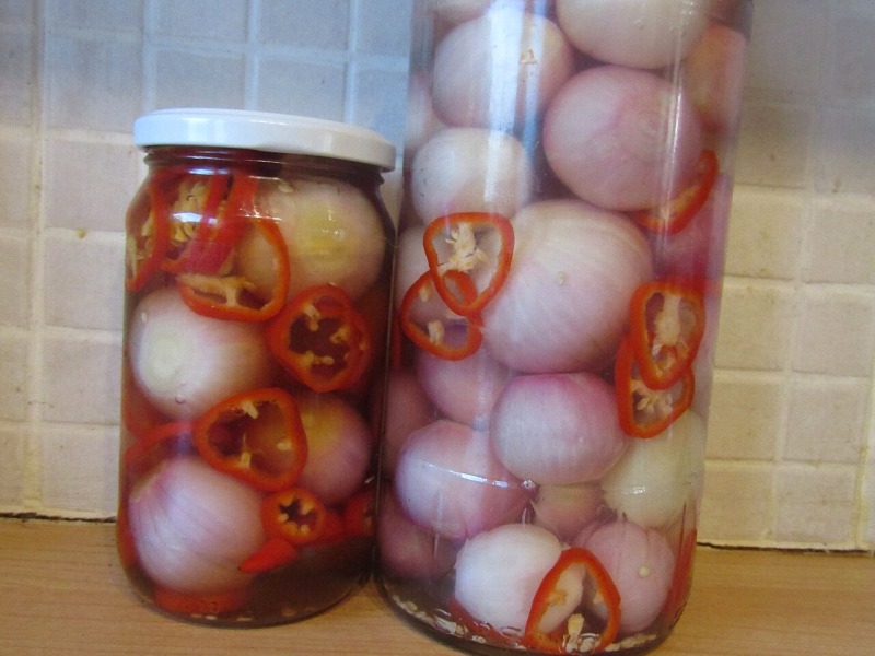 Pickled Red Onions