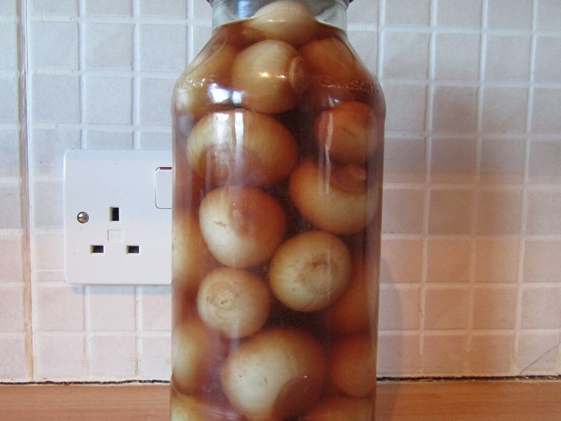 Quick Pickled Onions