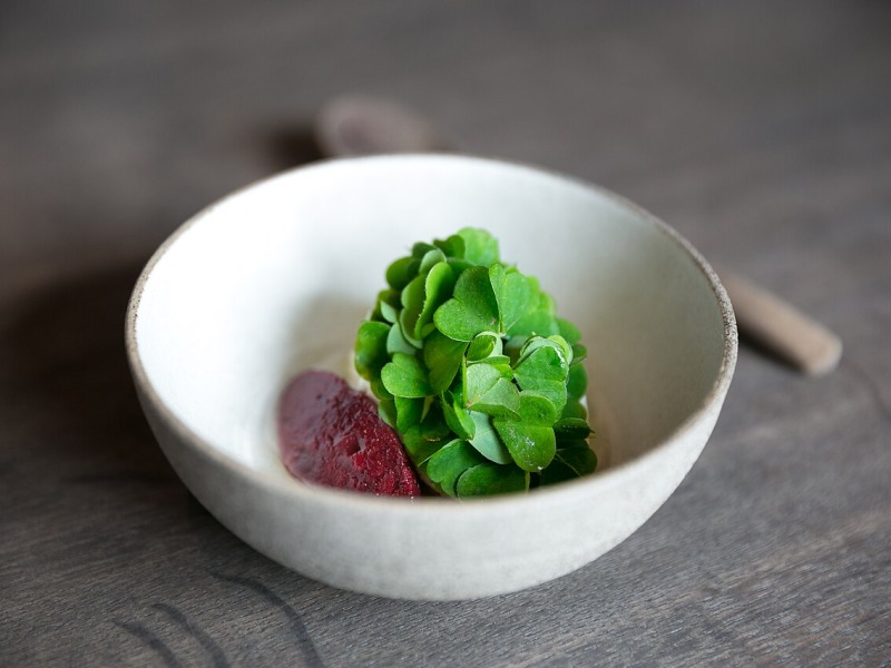 Rhubarb Compote