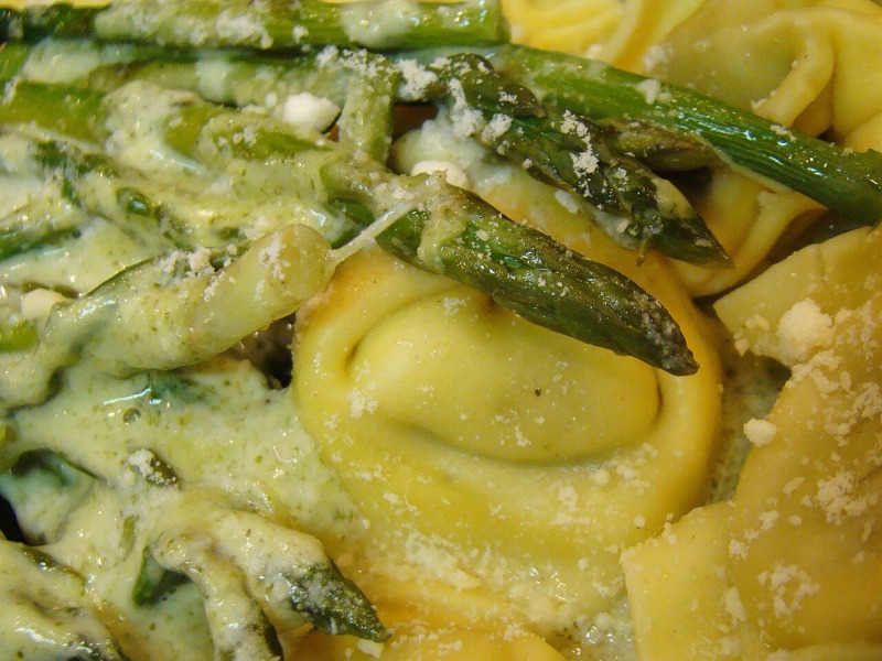 Ricotta Tortellini