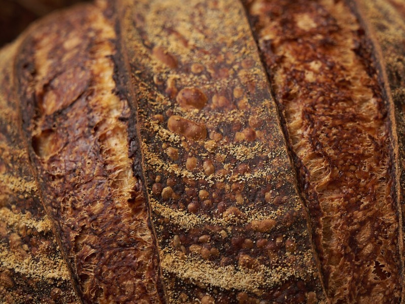 Rustic Bread