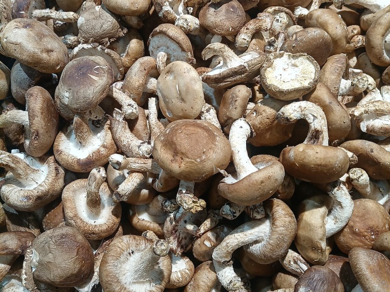 Sautéed Shiitake Mushrooms