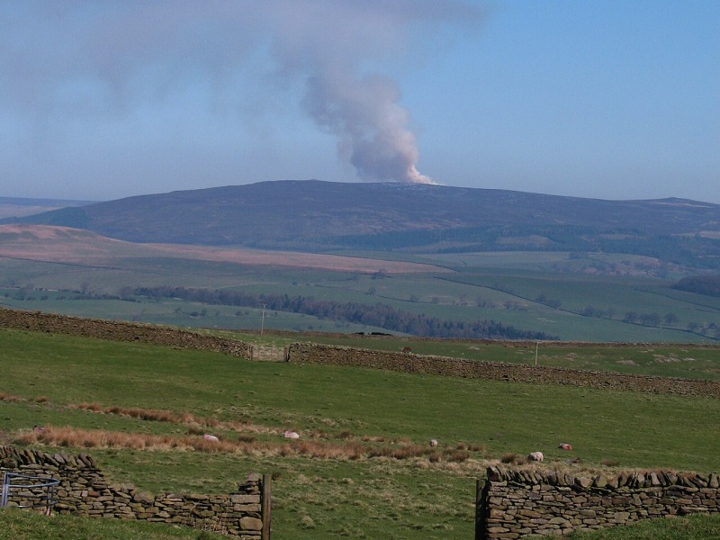 Smoke Signals