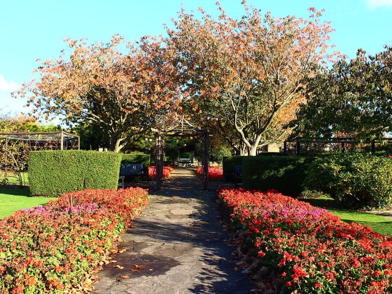The Autumn Orchard