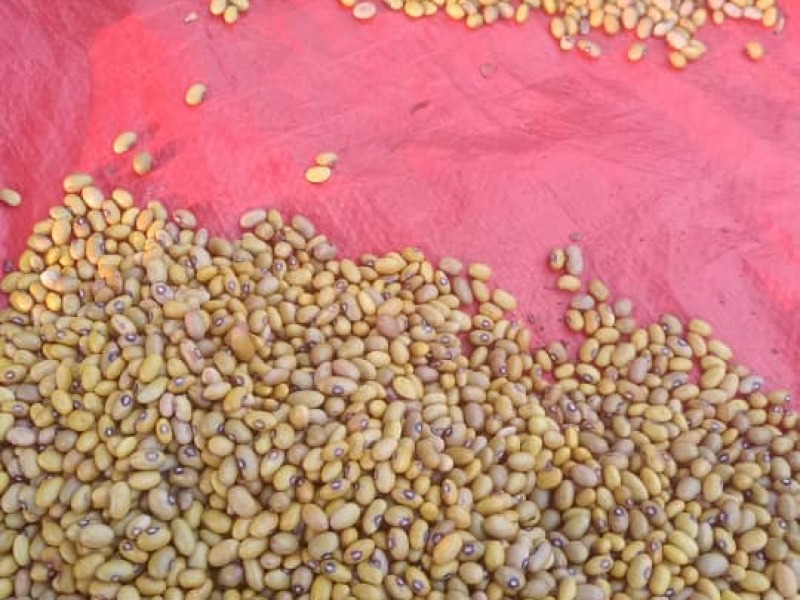To Quick-Soak Dried Beans