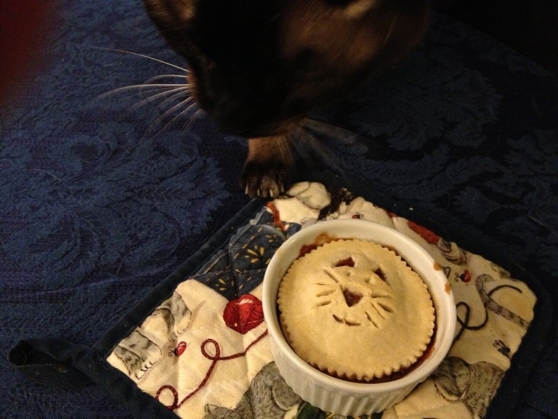Turkey Pot Pie