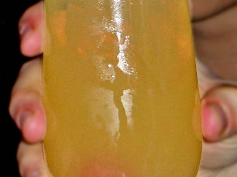 Whiskey Sour